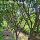씨밀레자연관광농원