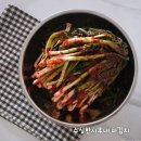 국산1로 | 수상한시후네 국산 전라도 파김치 솔직 후기