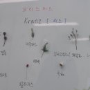 늘봄이음터 동아리실1 이미지