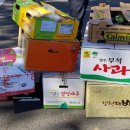감포과일