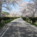 창평중학교 이미지