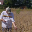 관세 직격탄 맞은 미국 농민들‥트럼프 "미국 콩 다시 위대하게!"﻿ 이미지