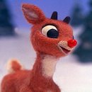 파이플러스 이미지