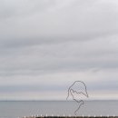 바다해장국 이미지