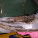 옥계2공단로2-2 이미지