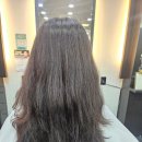 Hair1987(헤어1987)