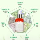 51오일 네이버블로그