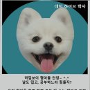 대치하이브학사