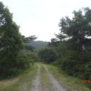 보성우체국 이미지