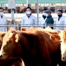 크로바농장 이미지