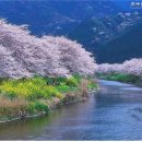 문산초교 이미지