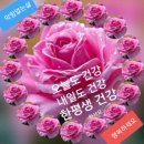 모전여전 [잘난 사람 영상 글] 이미지