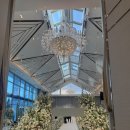 펠리체빈 | [웨딩 준비] DMC타워웨딩 펠리체홀✨️ 밝은 홀 계약 후기