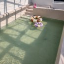 스테이 도랑 이미지