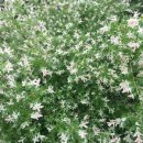 목원농원 이미지