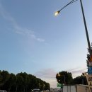 합정역 8번 출구, 횡당보도 앞 | [합정] 라멘 맛집 라무라🍜 요즘유행 장각라멘 강추 ++ 닭껍질 교자 사이드 후기