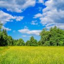 D&C동물병원 | 라스크루세스 길의 위험