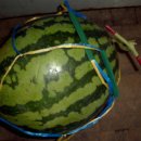 묘산주유소 이미지