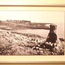 자연사랑 미술관 이미지