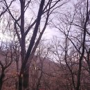 산성1 | 남한산성 둘레길 1코스 트레킹 후기 (주차장, 전망대)