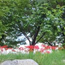 북평고등학교 이미지