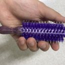 뷰티풀모텔 이미지