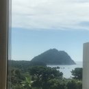 김상희공인중개사사무소봄봄 이미지