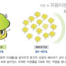 이엠미라클 네이버블로그