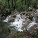 양평힐링계곡 오토캠핑장 이미지