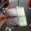 박물관카서비스 | 진해 제황산 모노레일 가격 이용후기 (+진해탑, 진해박물관)