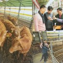 몽길농장 이미지