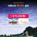 더존투어 - 고양시 일산동구 백마로 195 | 더존투어