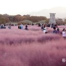 첨성대 - 경주시 | 첨성대