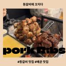 등갈비애꼬치다배곧점 | 배곧 등갈비 맛집 등갈비애 꼬치다 듀록 흑돼지의 맛 쪽갈비 맛집