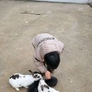 우농타조농장 이미지