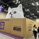 (주) 트렌드펫 | 2026 펫 비즈니스 성공 전략! 8~9월 펫박람회 일정과 정부 지원사업, 환절기 마케팅 총정리
