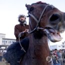 IS GAME ZONE 이미지