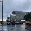 뻘떡낙지서귀포점 | 서귀포 낙지볶음맛집찾기[김명자낙지마당vs뻘떡낙지]내돈내산