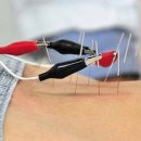 민들레한의원 이미지