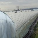 대곡면-6 이미지