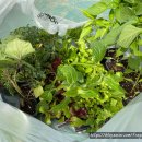 한국농약사 이미지