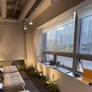 강서톡스앤필의원 이미지