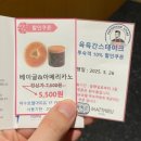엑스포박람회장 | 여수 엑스포 호텔 추천 여수역 낭만포차 근처 가성비 좋은 숙소 후기 호텔 마띠유