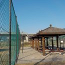 달빛축제공원(리틀야구장) 이미지