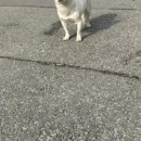 GS25 봉명리치점 이미지