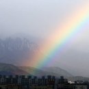 무지개메디칼 이미지