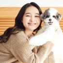 휴앤독