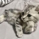 휴휴자적 이미지