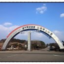 찜닭 발전소 네이버블로그