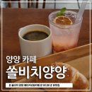 양양 바다뷰 | [양양 쏠비치양양 베이커리&amp;카페] 양양 바다뷰 카페 후기